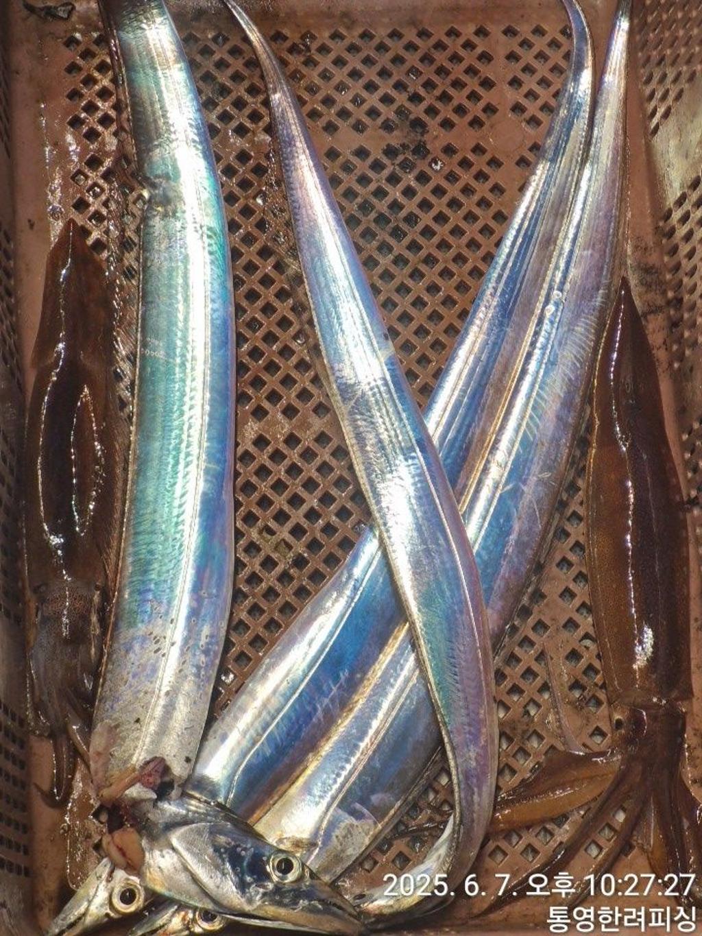 F26946726D.jpg