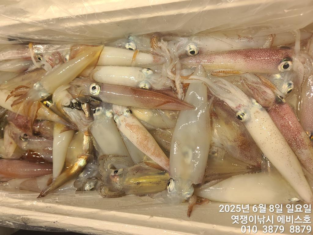 F26948325T.jpg
