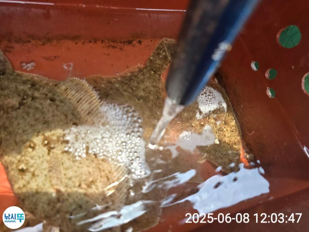 F269522933.jpg