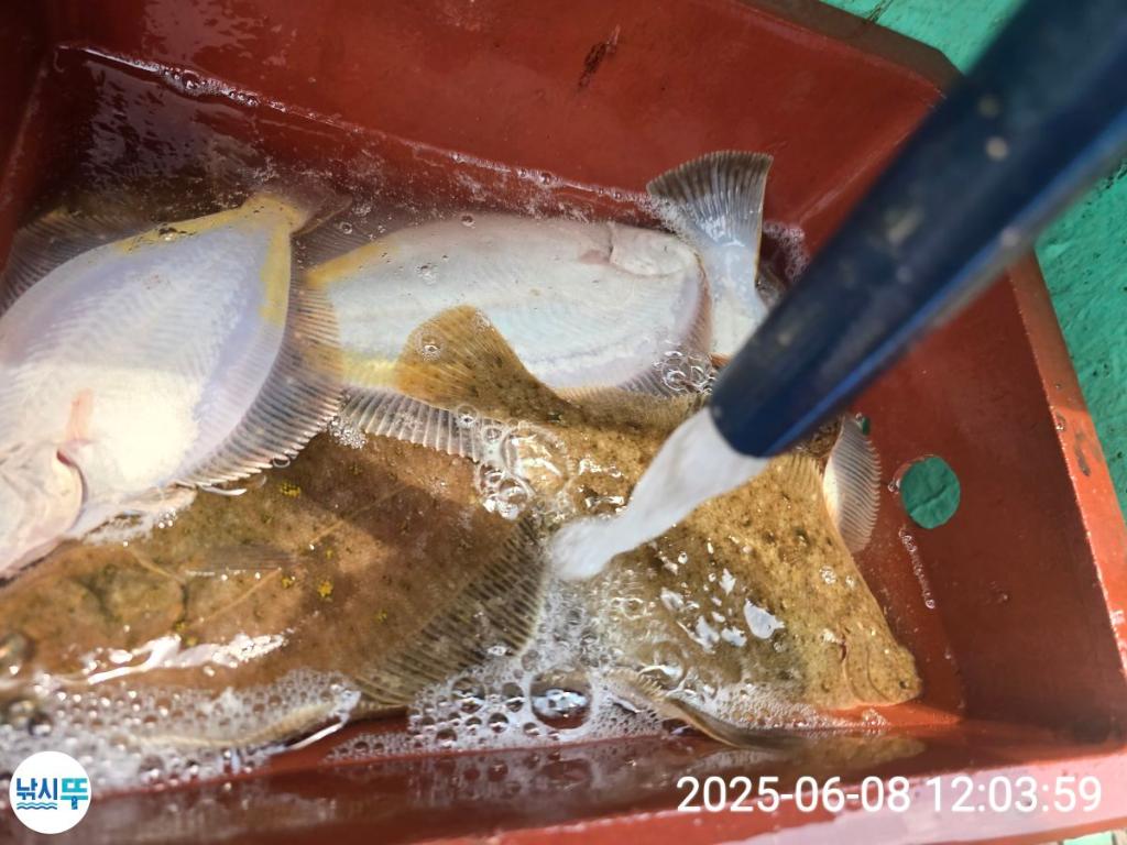 F269523030.jpg