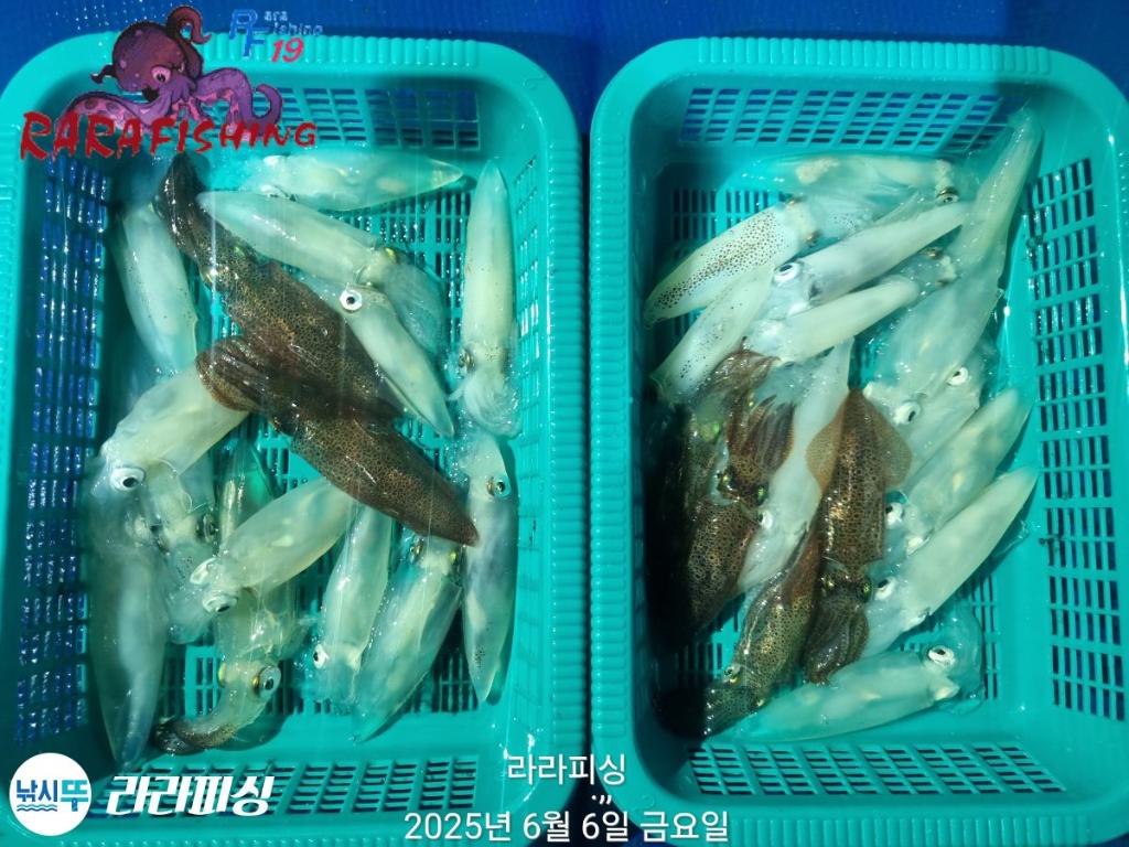 F2695244UO.jpg