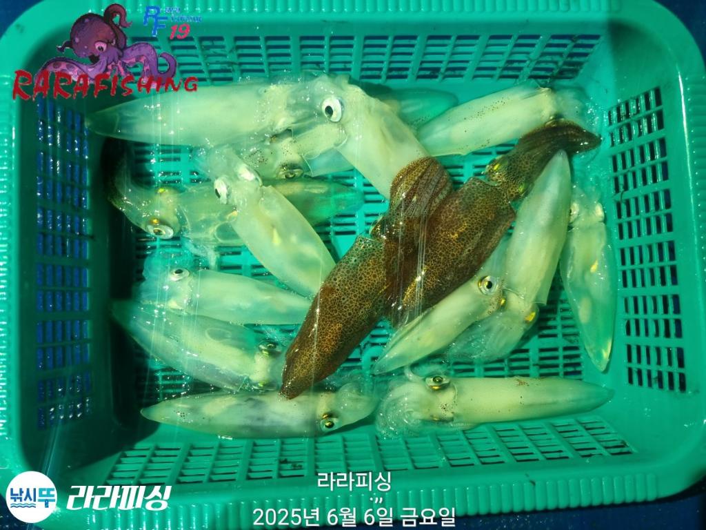 F269524669.jpg