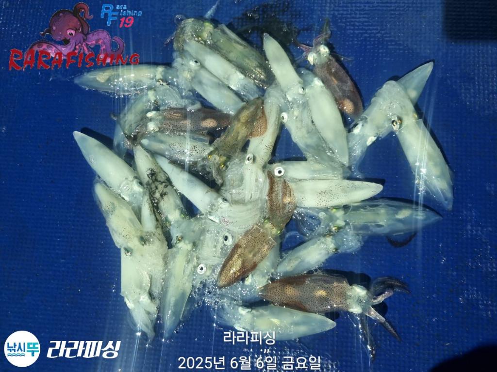 F2695250YD.jpg