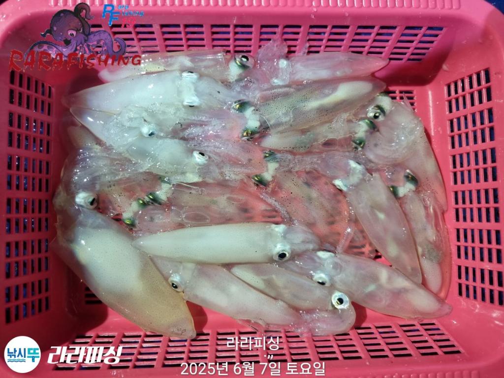 F26952533H.jpg