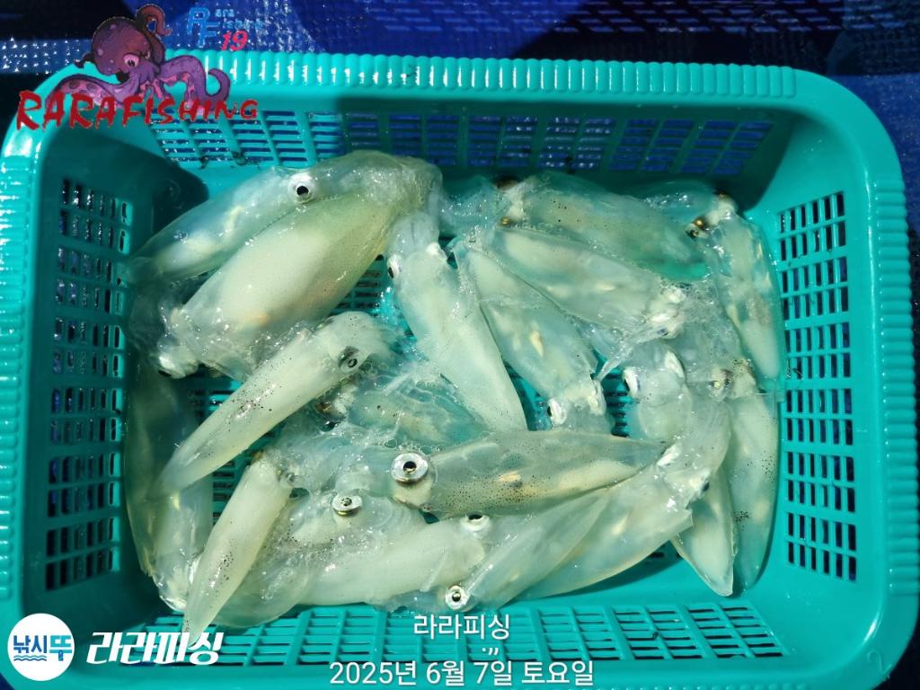 F2695256QZ.jpg