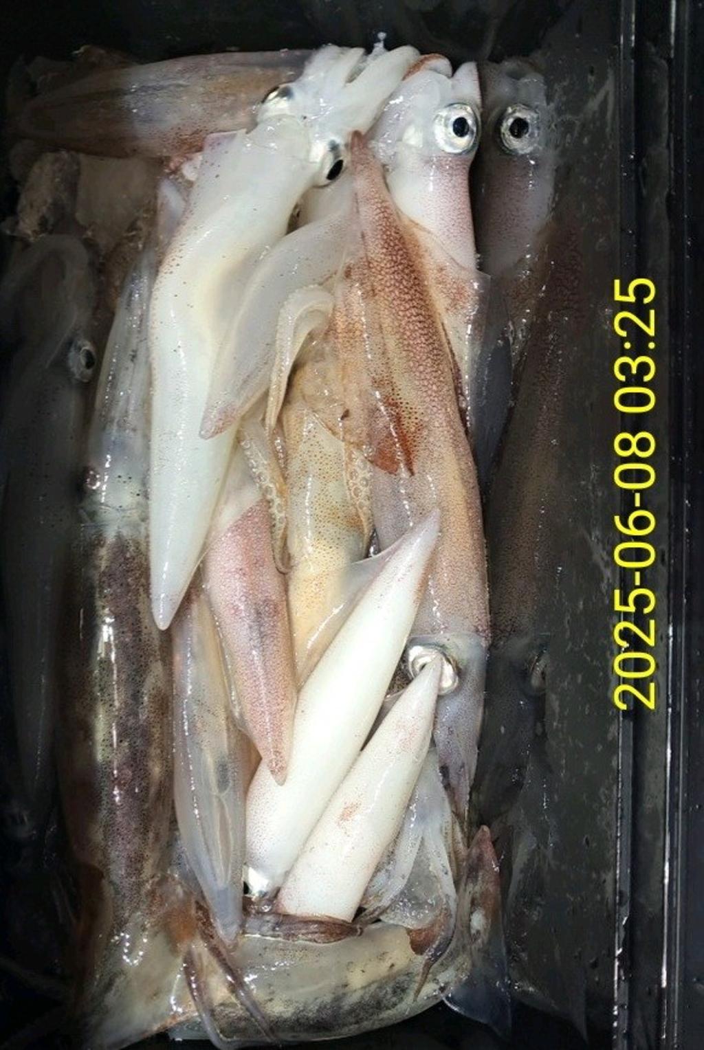 F26953693P.jpg