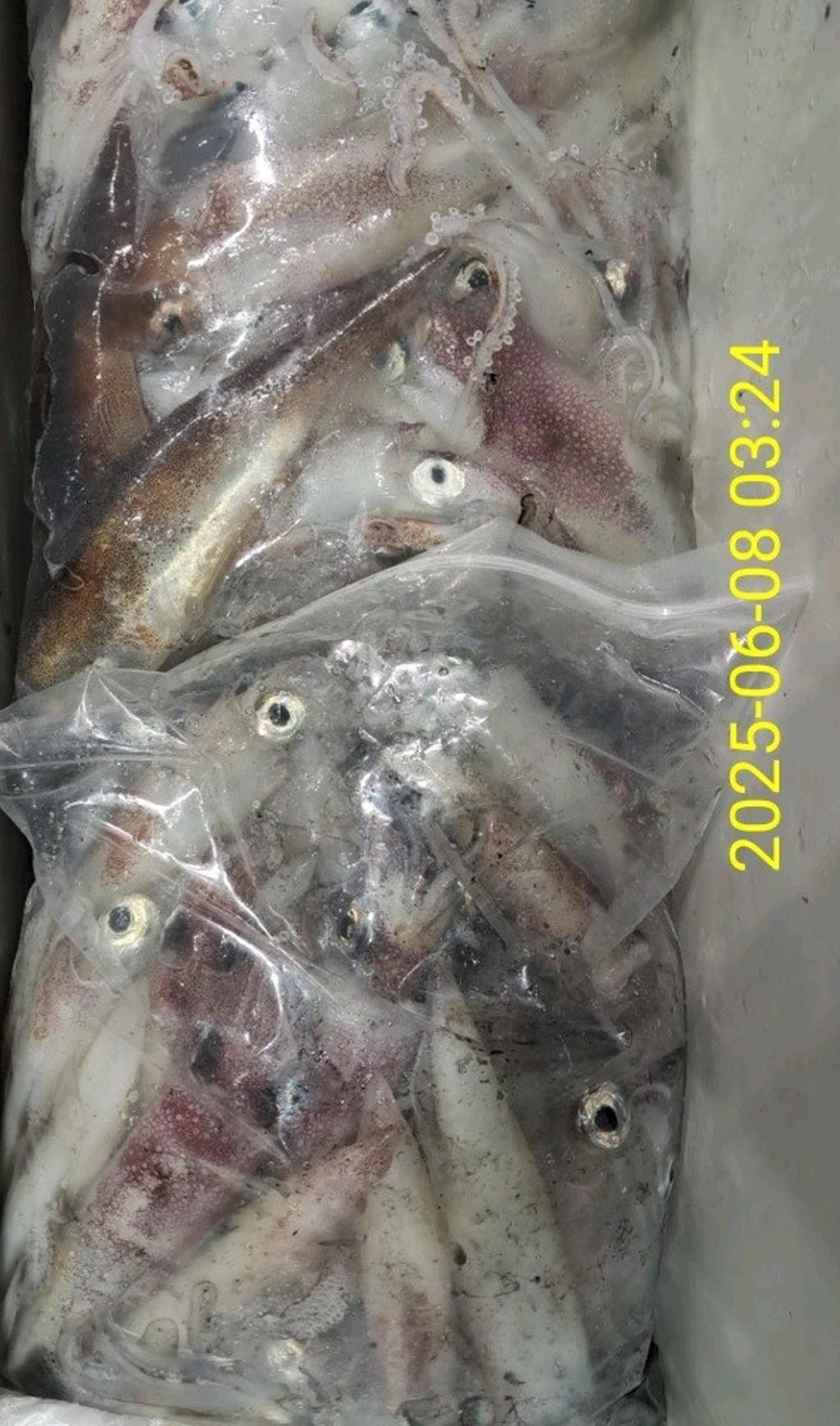 F2695370UD.jpg