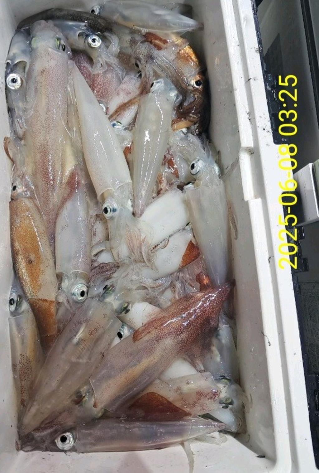 F269537203.jpg