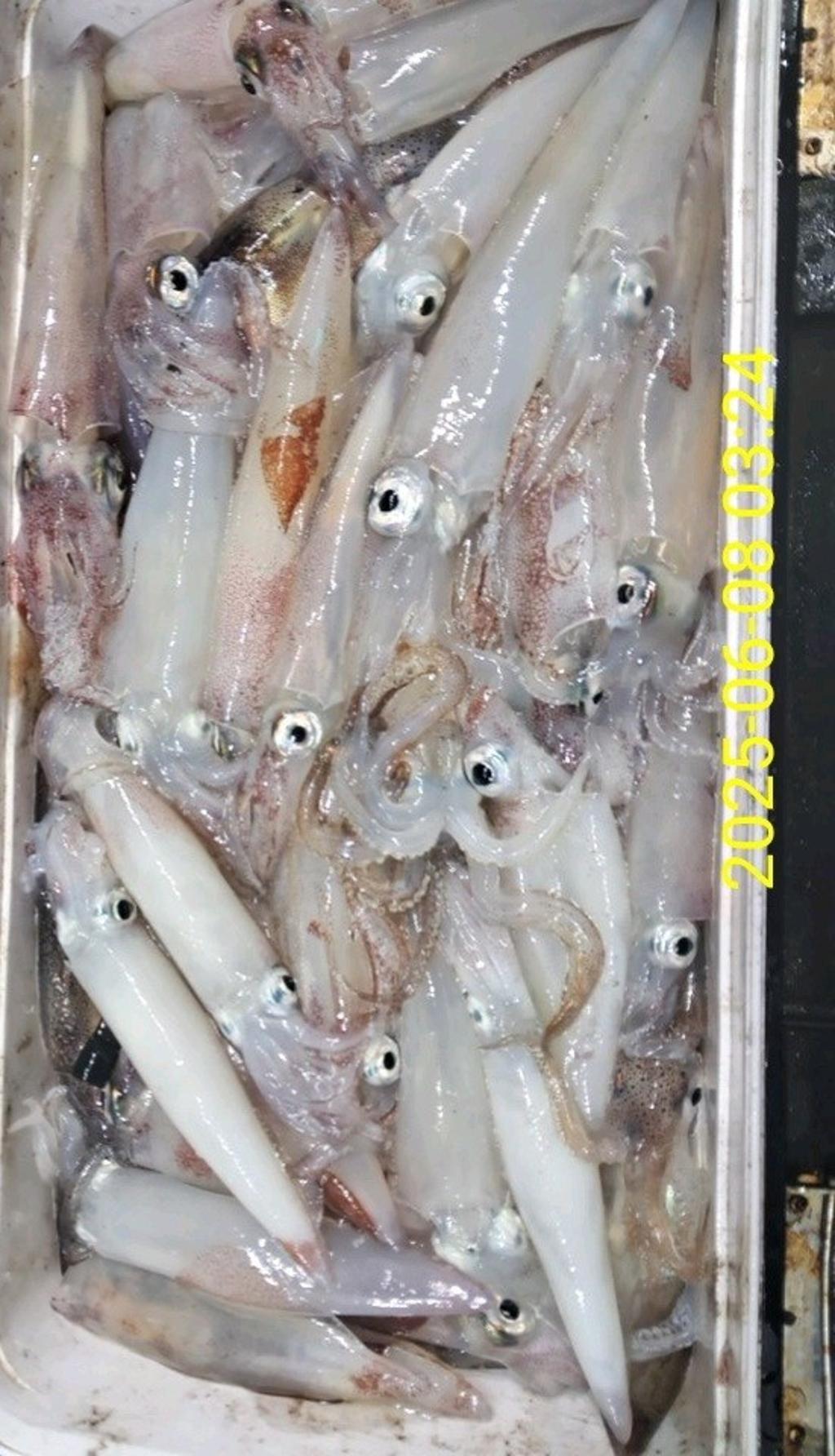 F2695373DA.jpg
