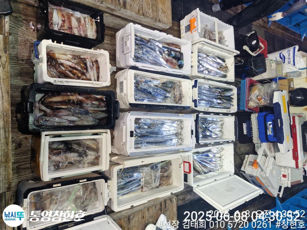 F2695449YL.jpg