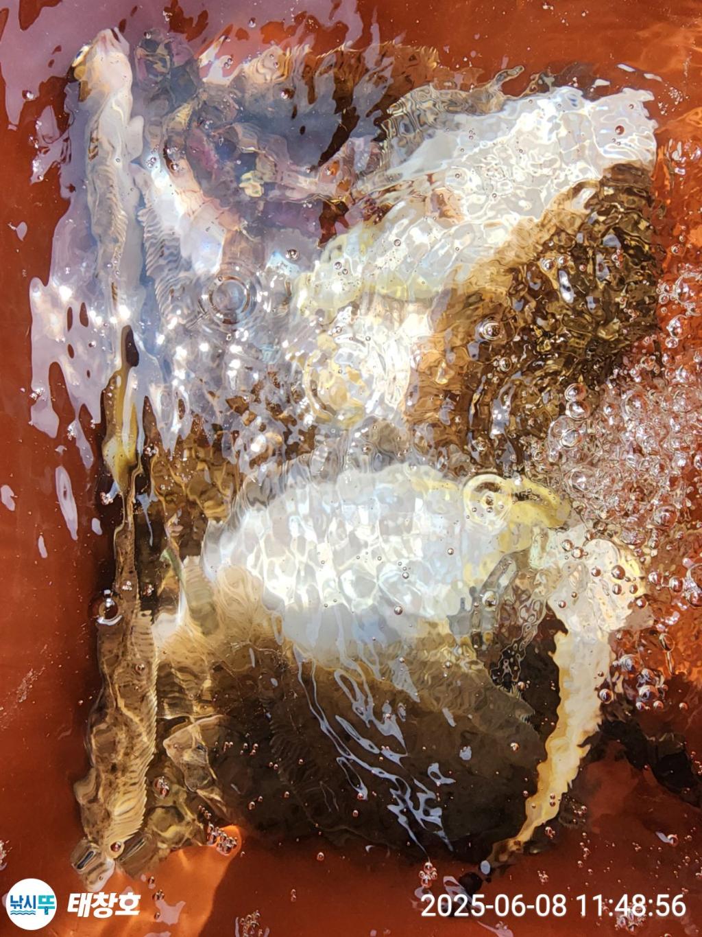 F269552820.jpg