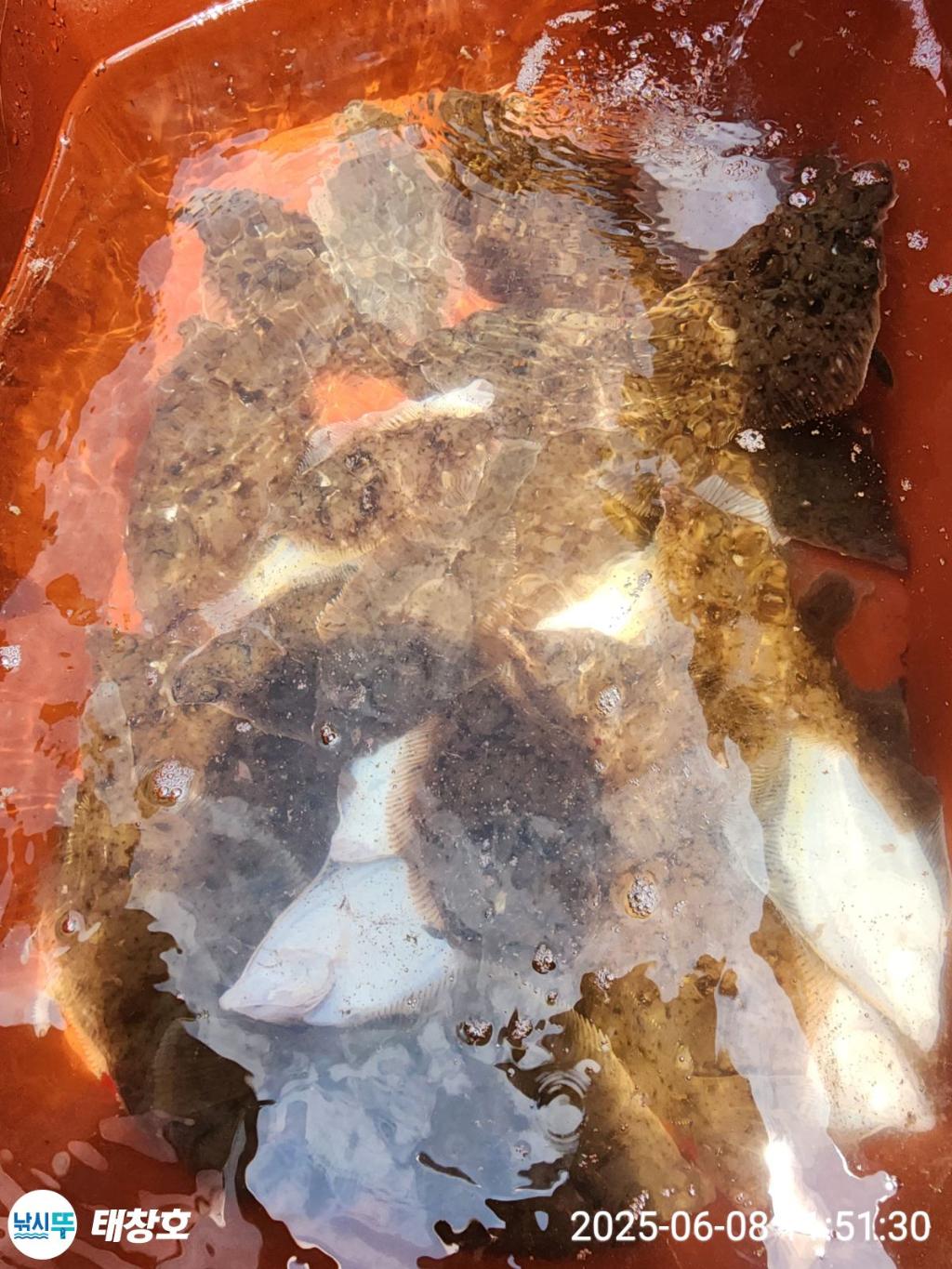 F269553228.jpg