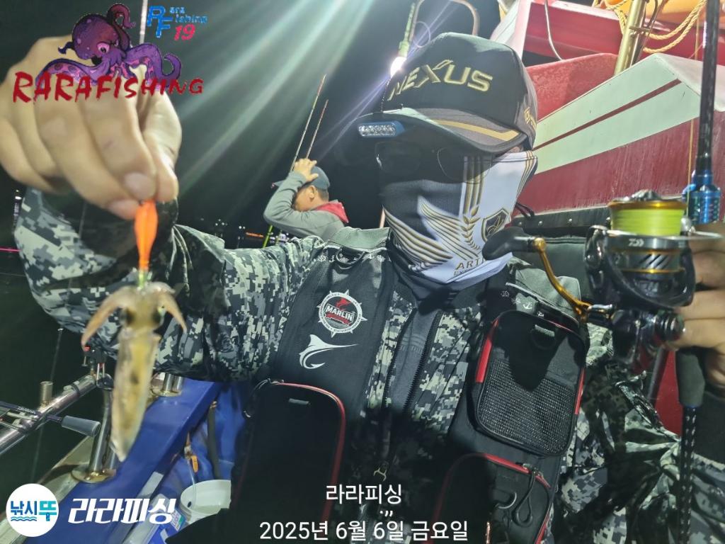 낚시뚜,호래기,속천항(진해),라라피싱,낚시뚜26