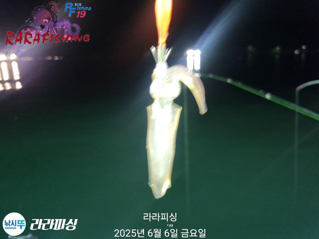 낚시뚜,호래기,속천항(진해),라라피싱,낚시뚜25