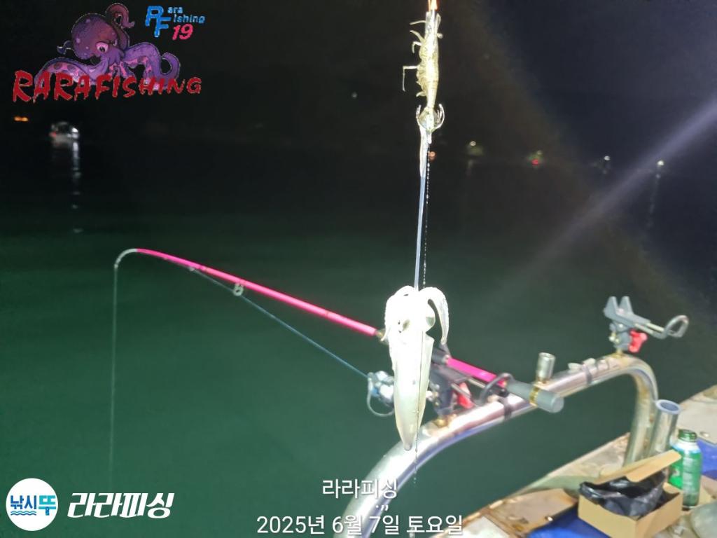 낚시뚜,호래기,속천항(진해),라라피싱,낚시뚜7