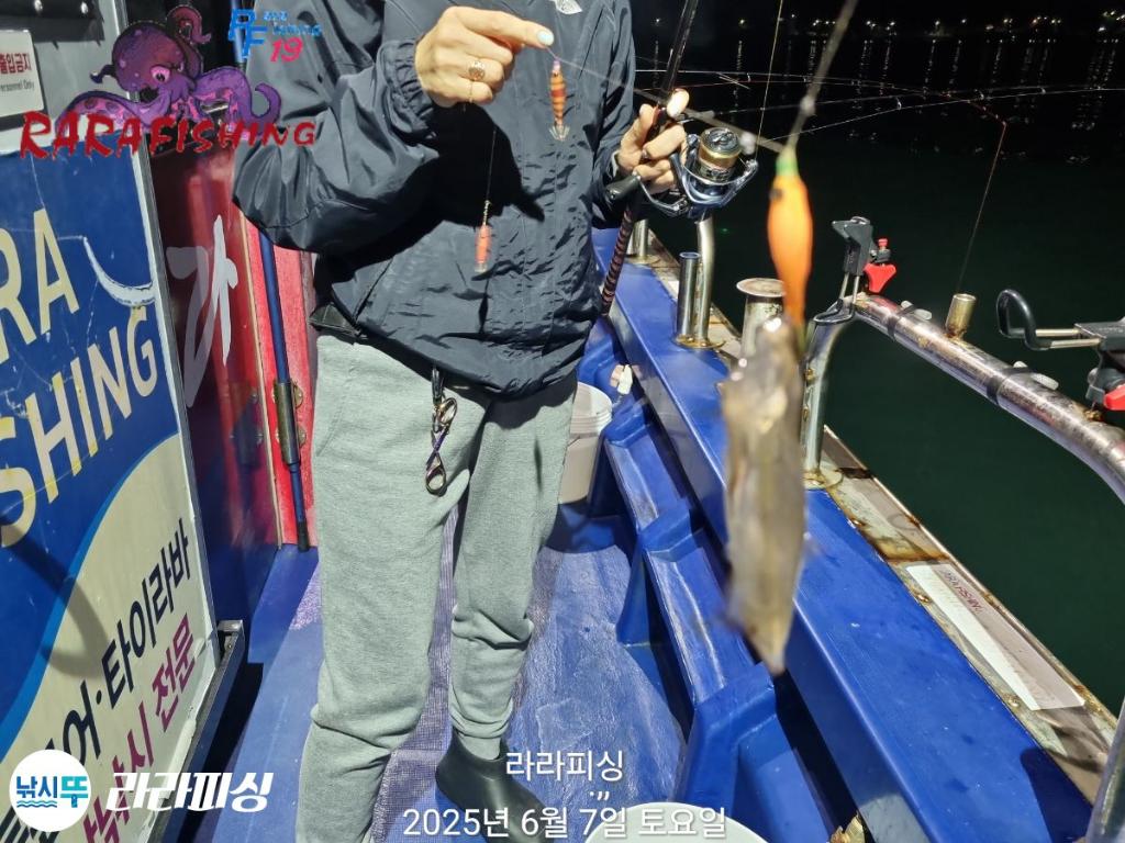낚시뚜,호래기,속천항(진해),라라피싱,낚시뚜4