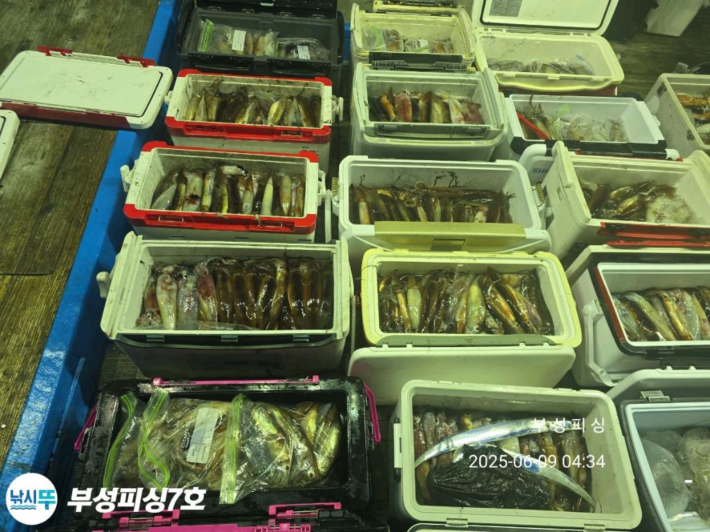 F2695809YI.jpg