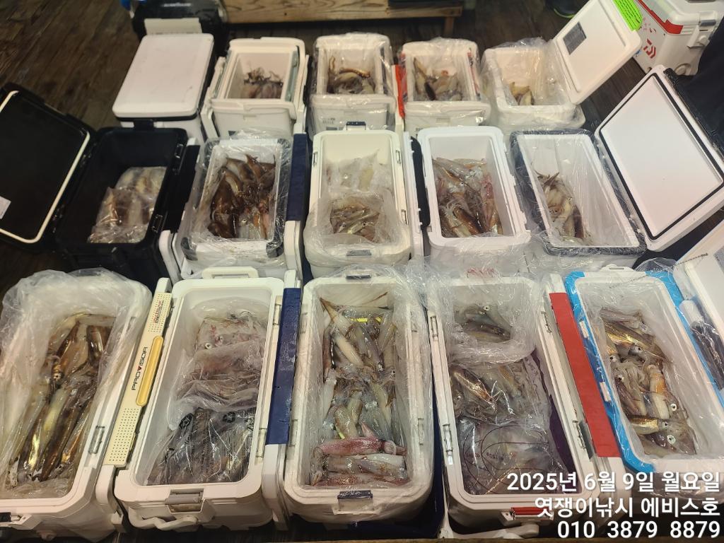 F2695907CR.jpg
