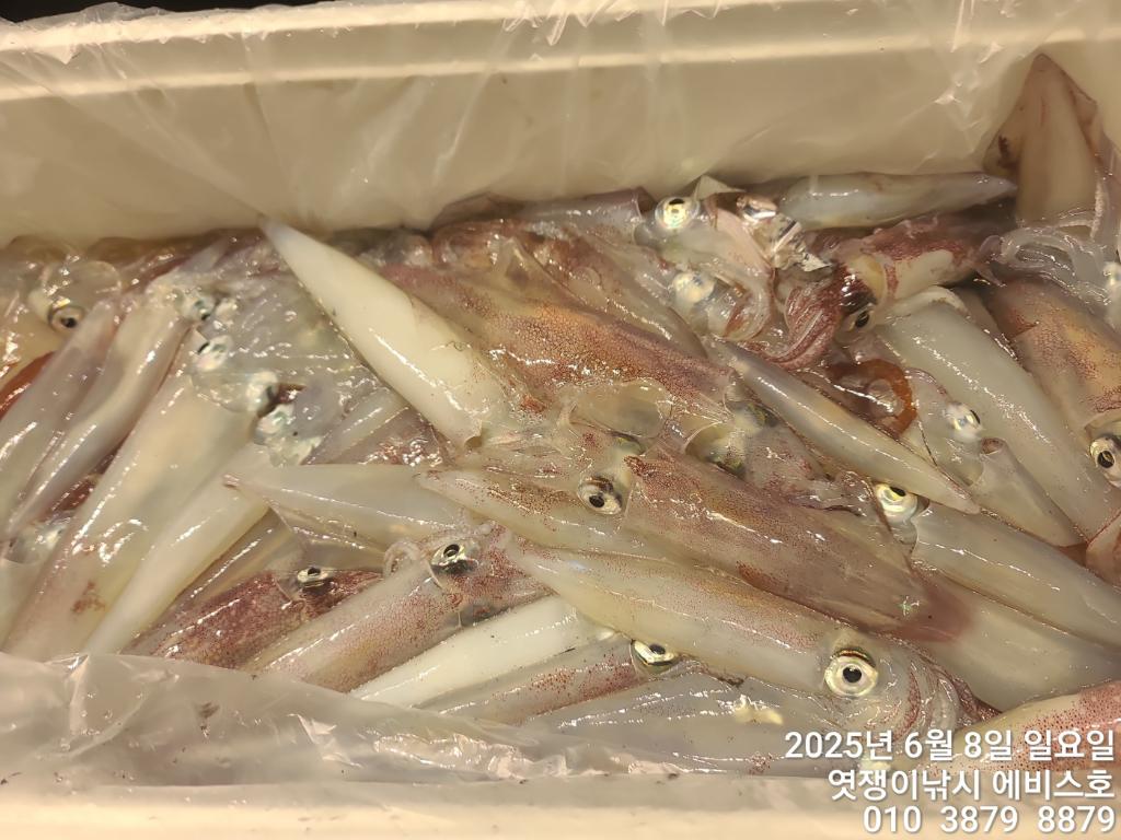 F269592046.jpg