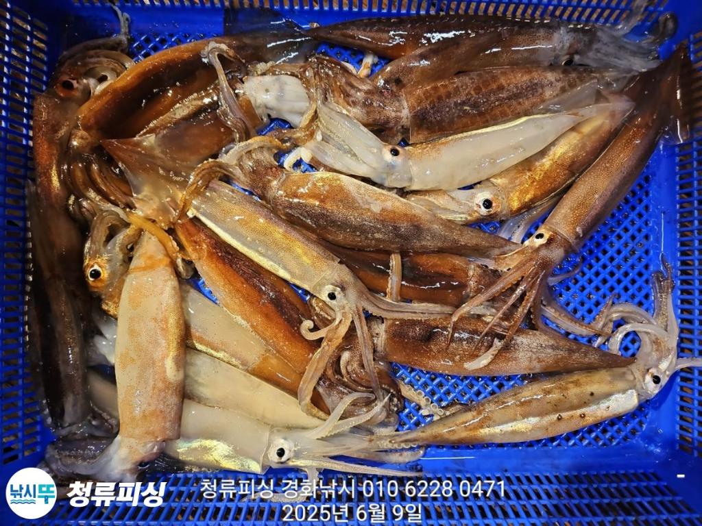 F2695957PY.jpg