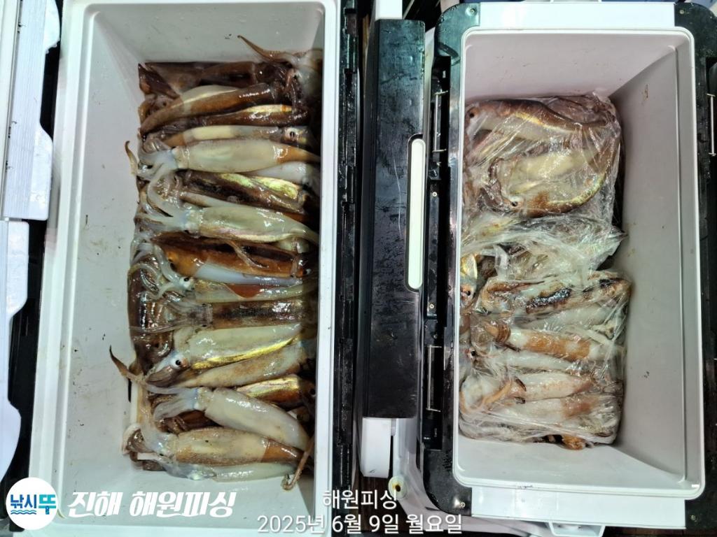 F2696035CJ.jpg