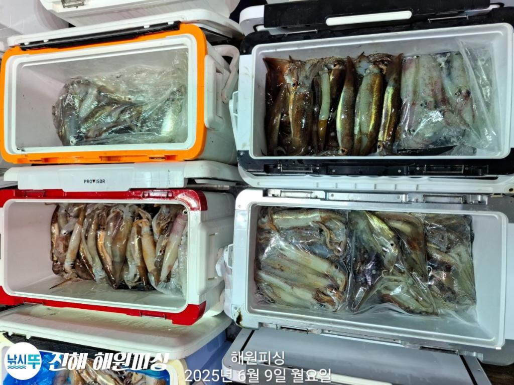 F2696037YI.jpg