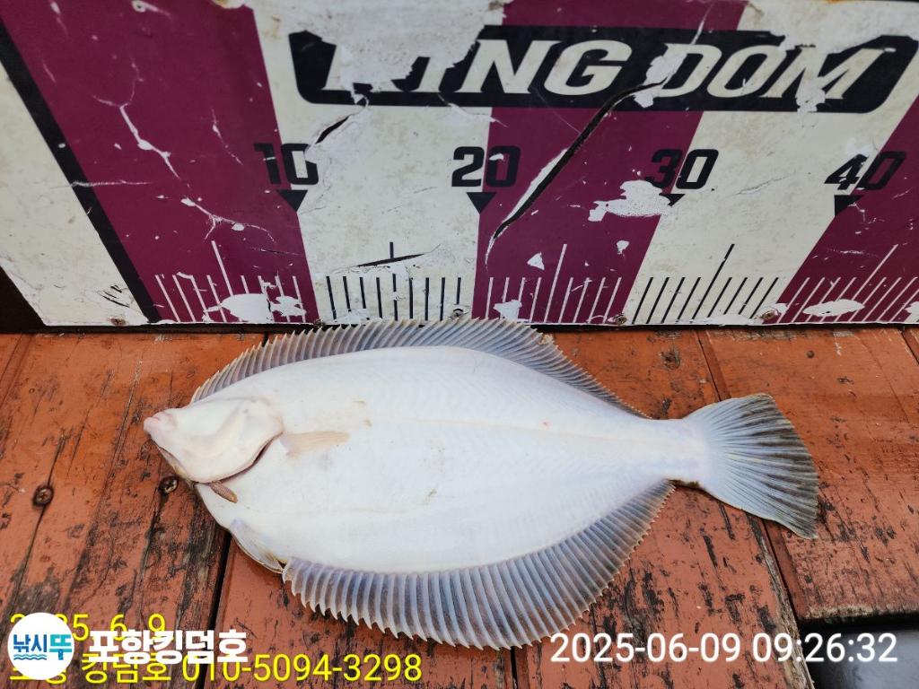 F2696224XA.jpg