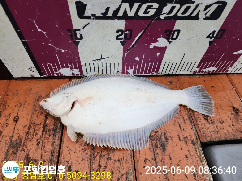 F2696241YU.jpg