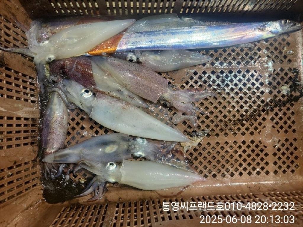 F2696451EI.jpg