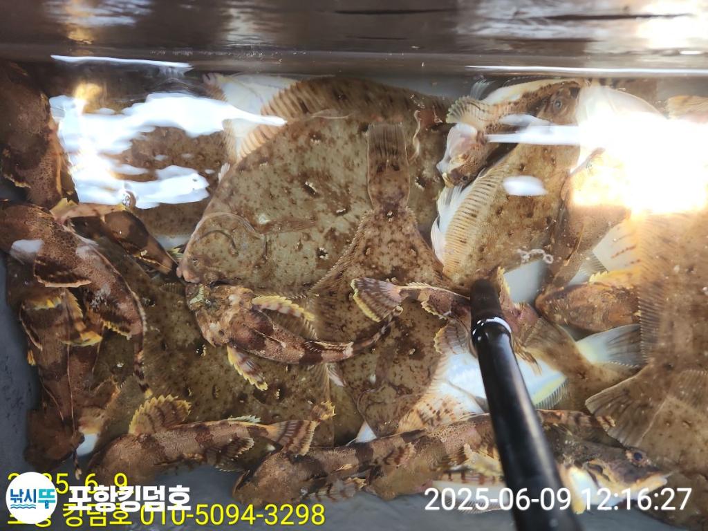F2696542GG.jpg