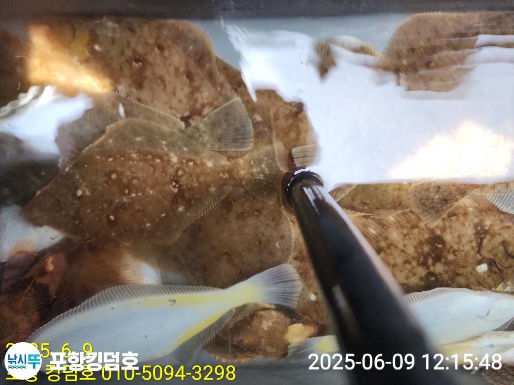 F26965469E.jpg