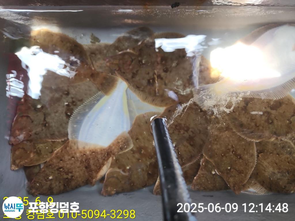 F2696547B3.jpg