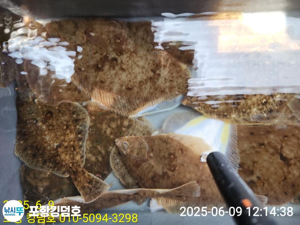 F2696548Q1.jpg
