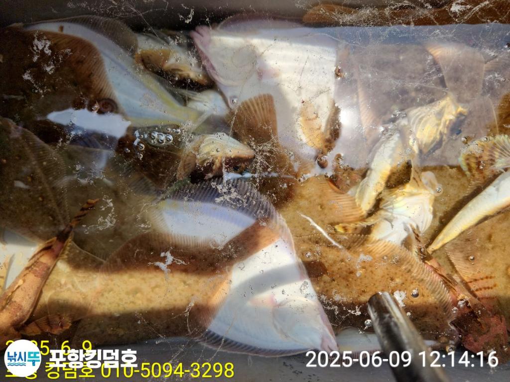 F2696550BJ.jpg