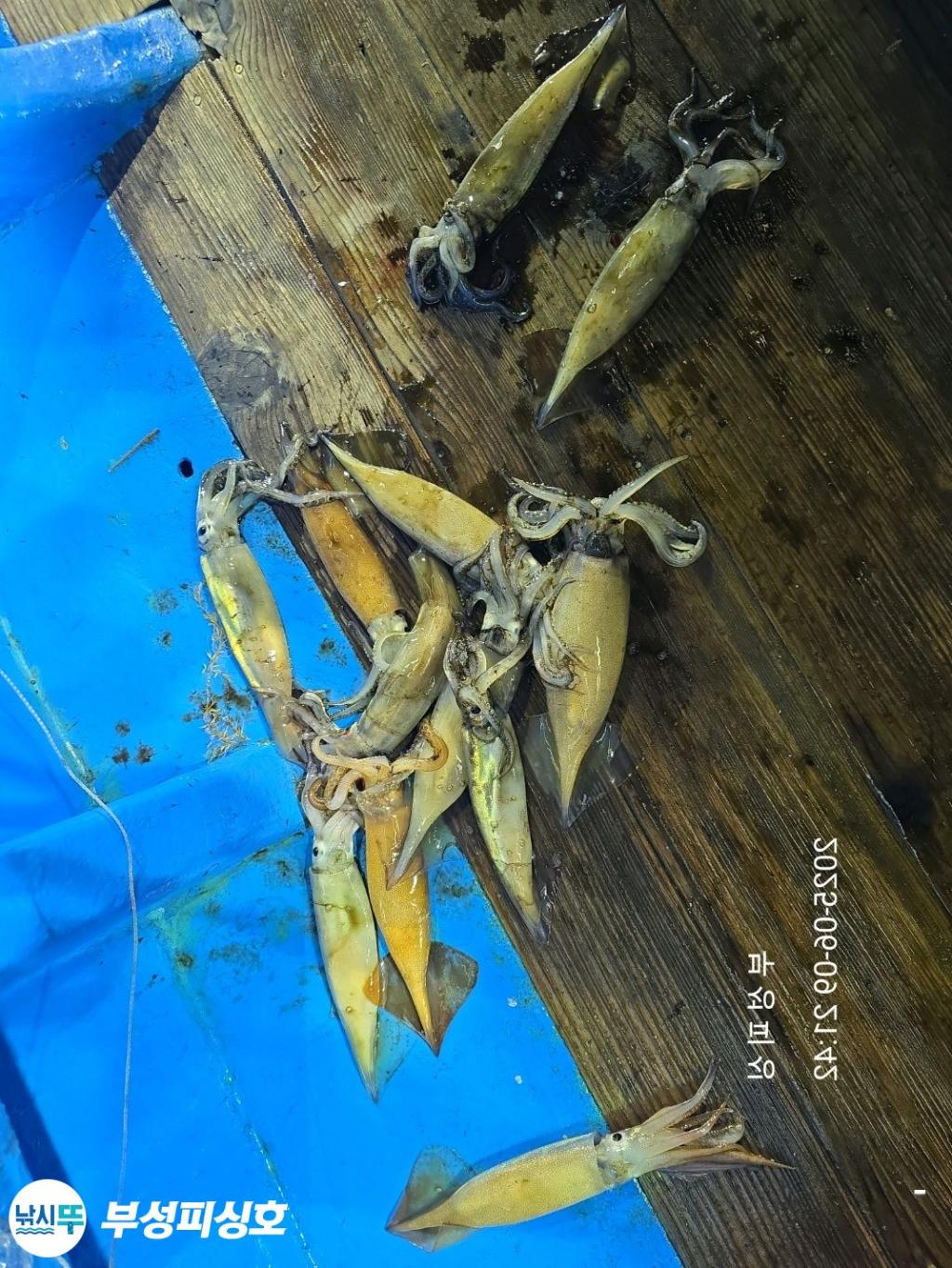 F2696676H3.jpg