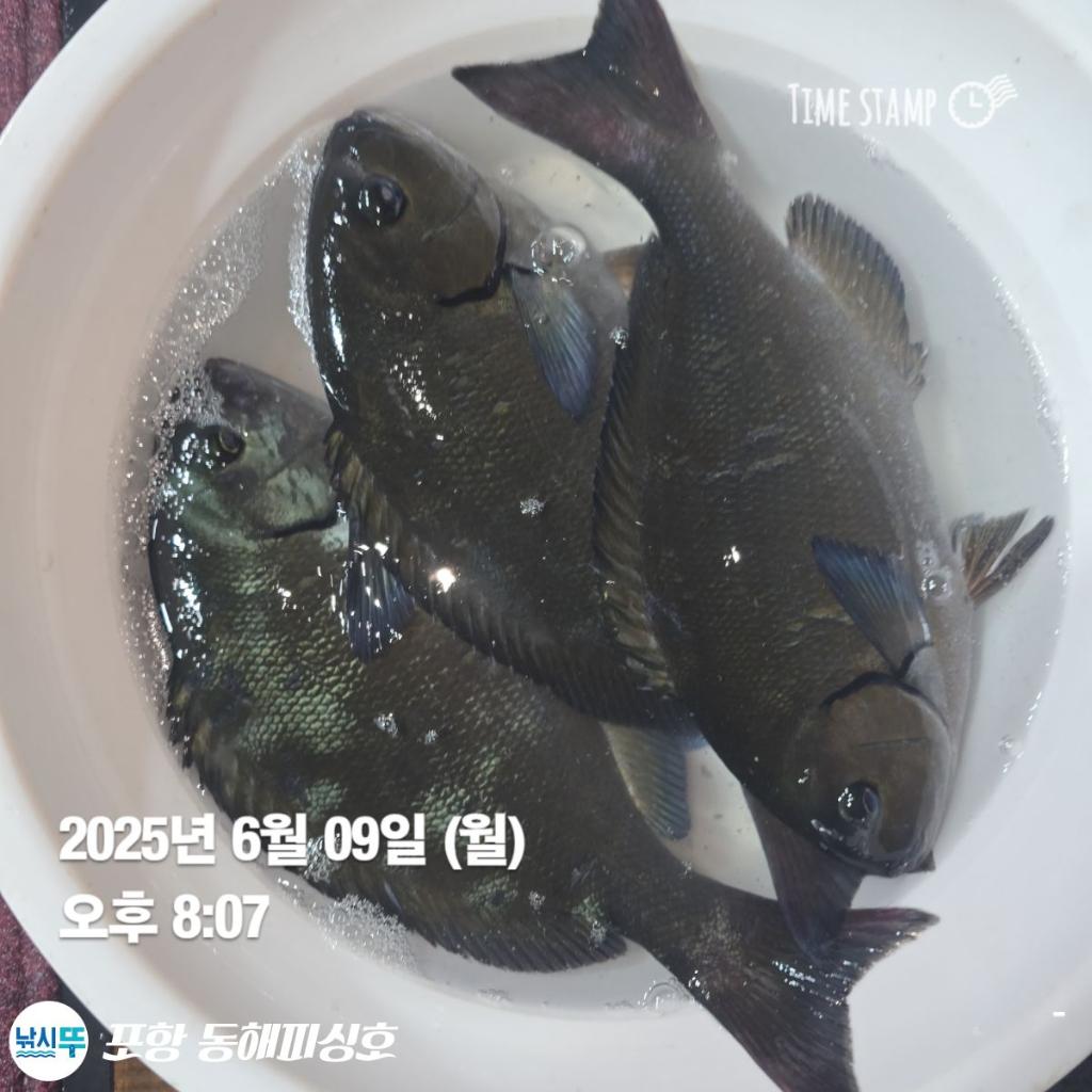 F2696698ZU.jpg