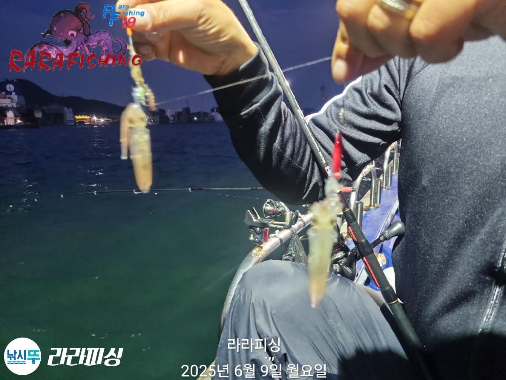 낚시뚜,호래기,속천항(진해),라라피싱,낚시뚜4