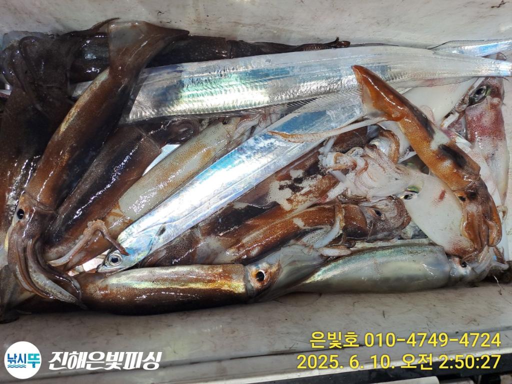 F2696759BG.jpg