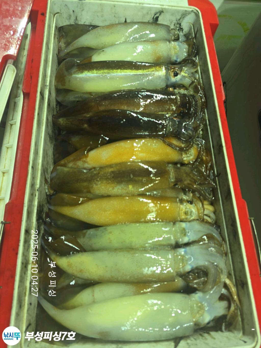 F2696768I3.jpg