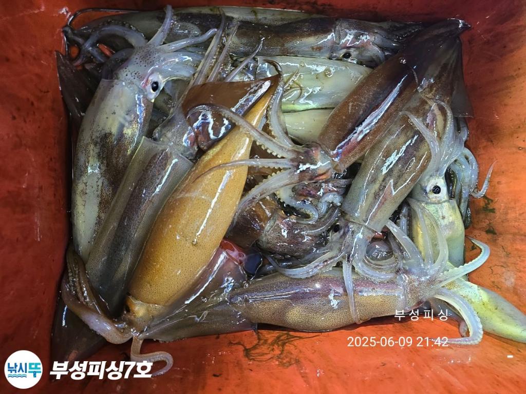 F2696783CN.jpg