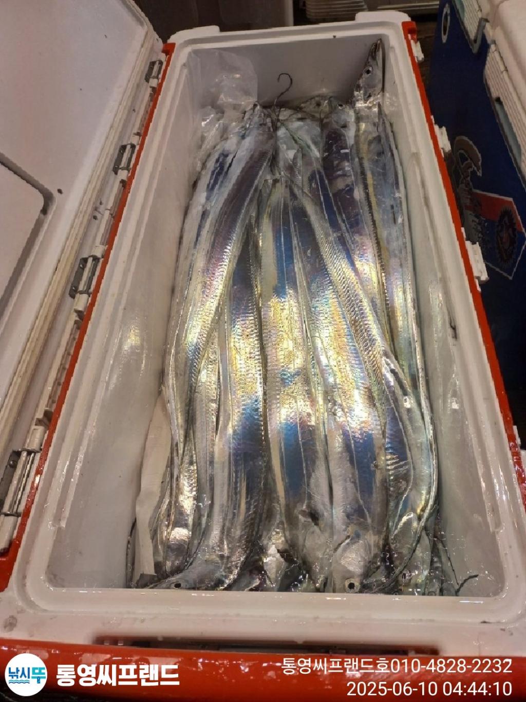 F2696832I6.jpg