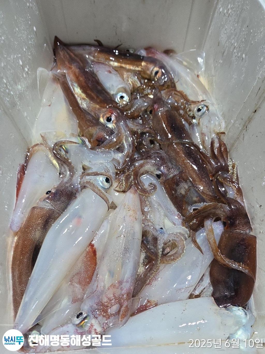 F2697010S9.jpg