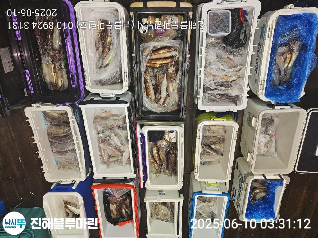 F2697329DN.jpg