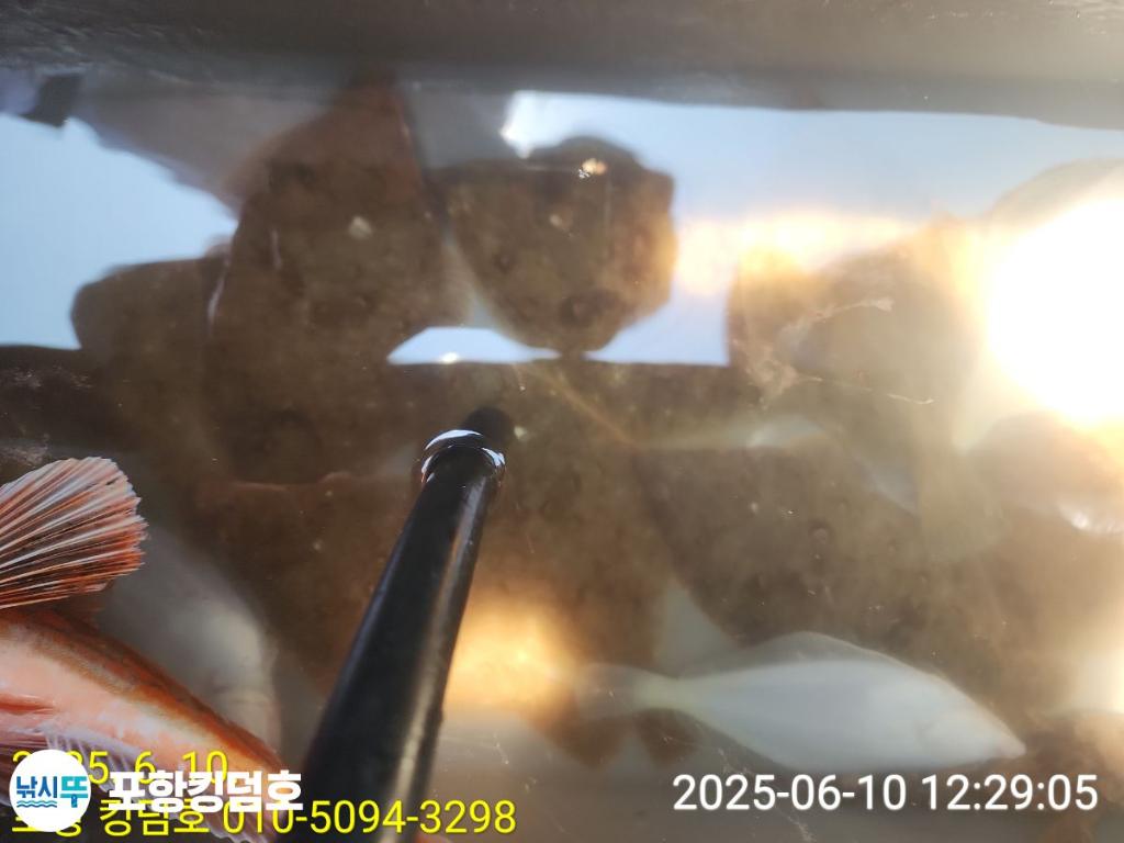 F2697444SN.jpg