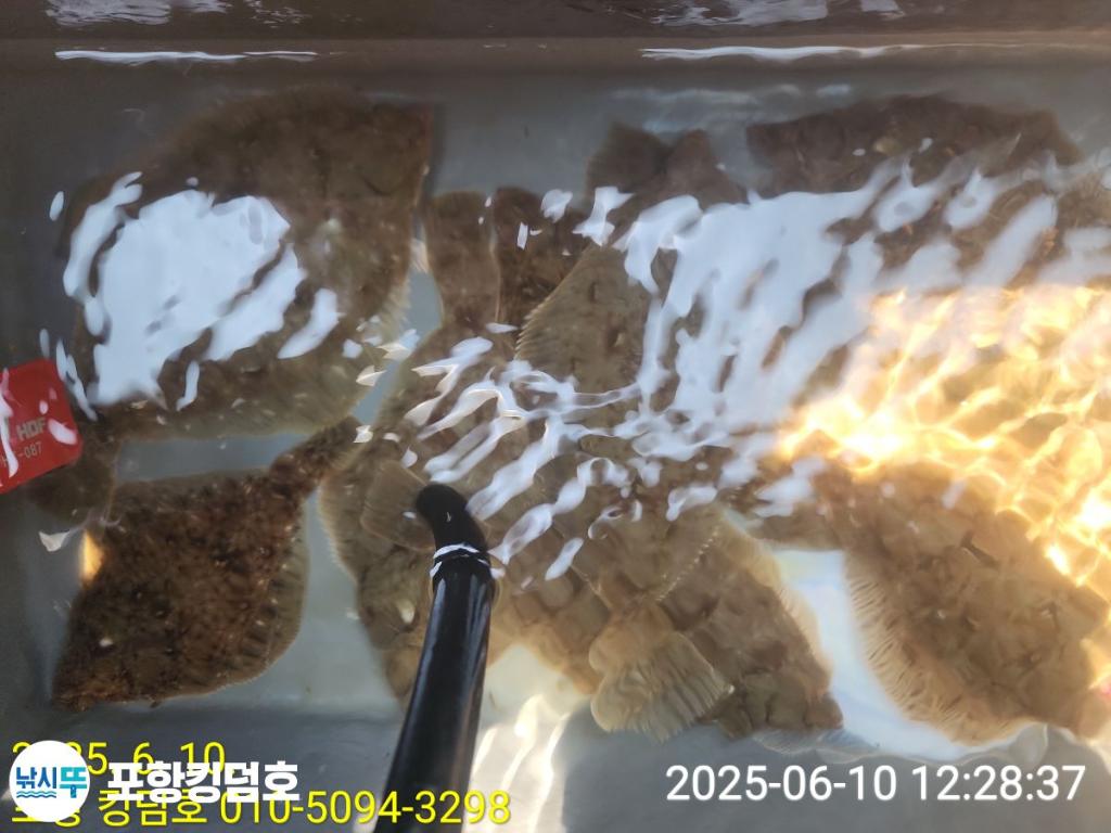 F269744656.jpg