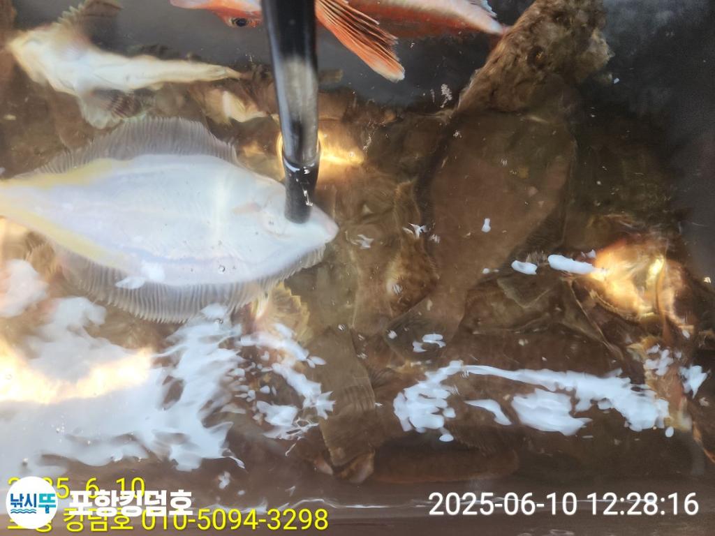 F26974499F.jpg