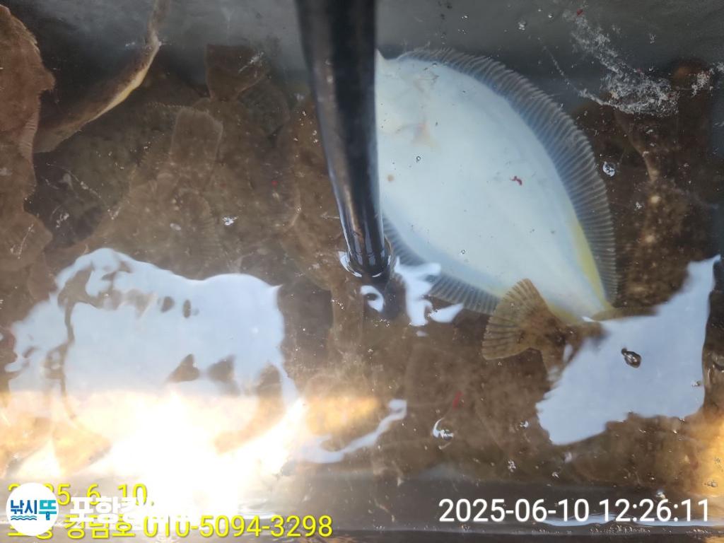 F26974531T.jpg