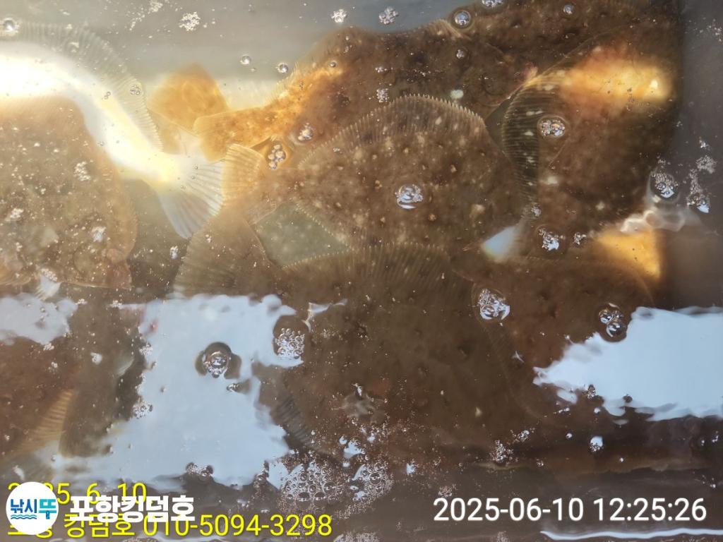 F2697457W3.jpg