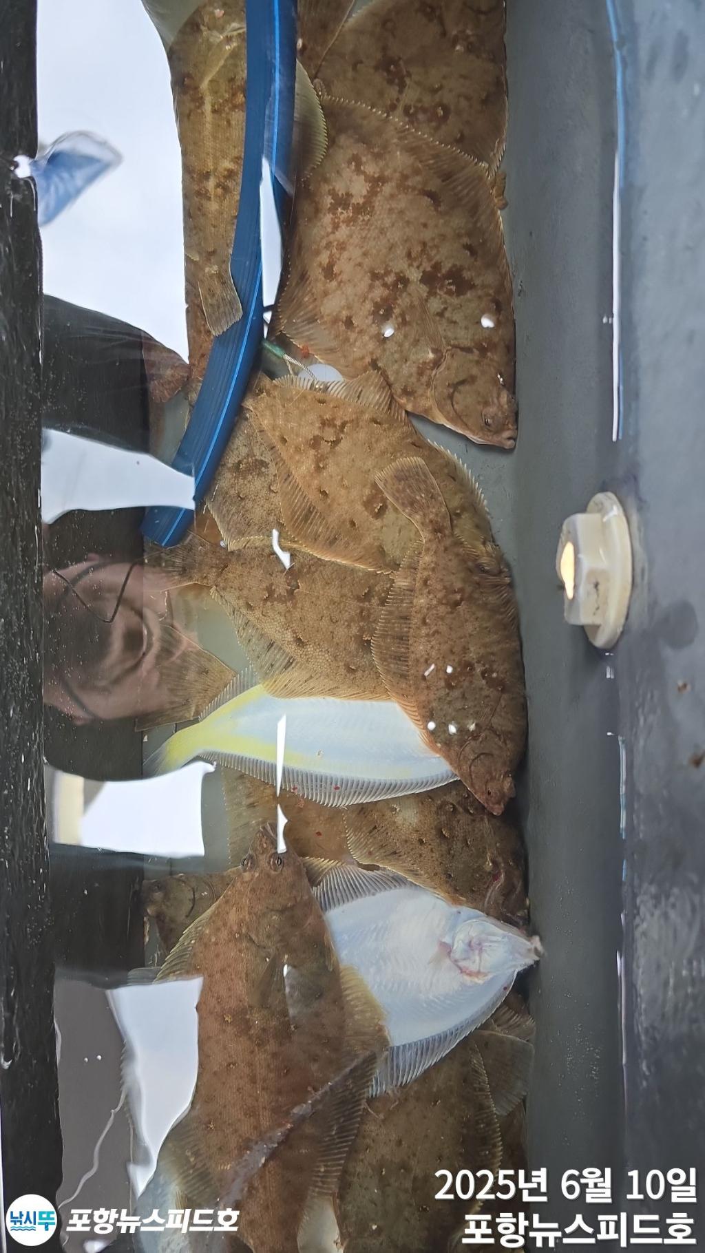 F2697500Q8.jpg