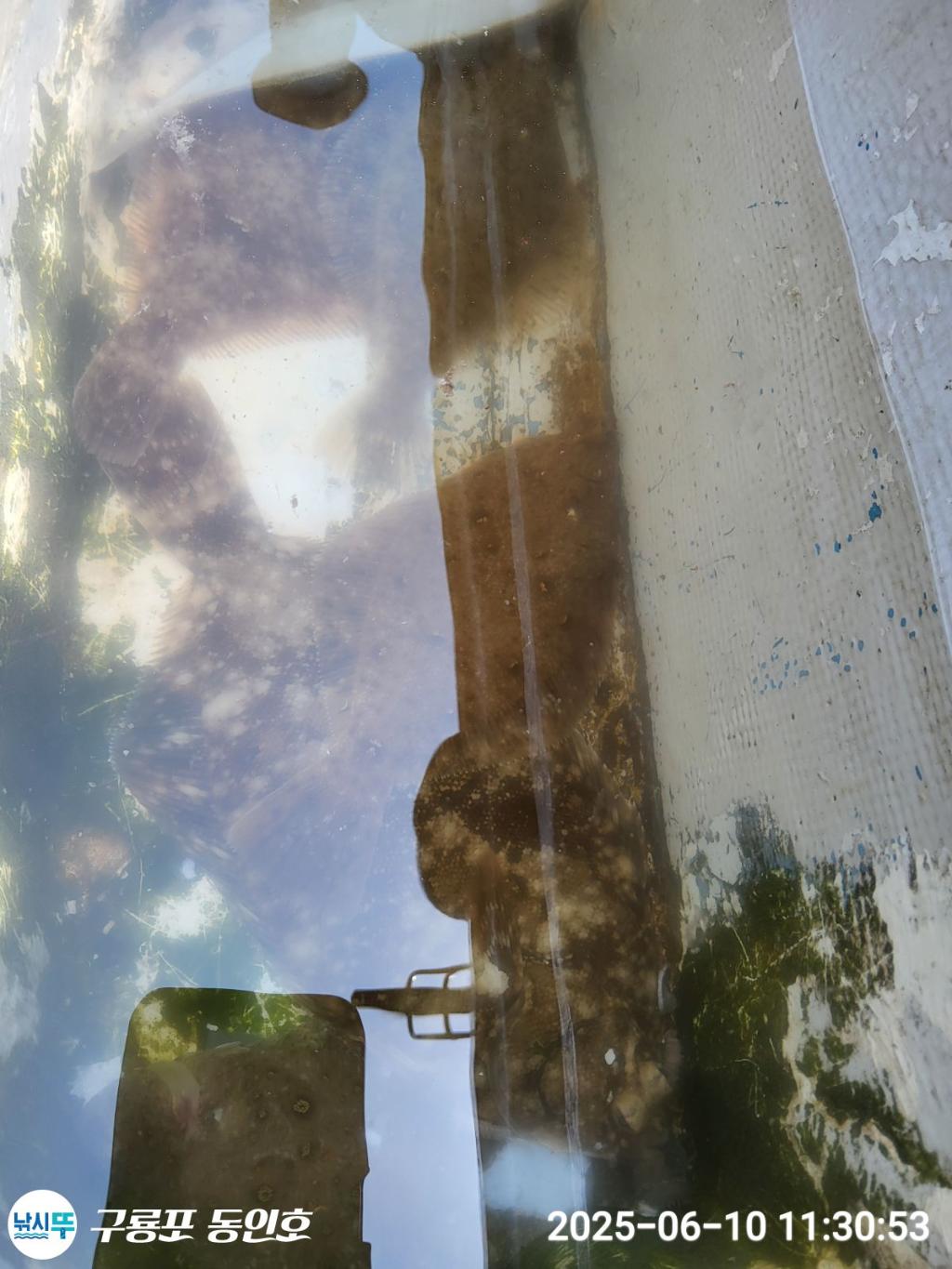 F269752767.jpg